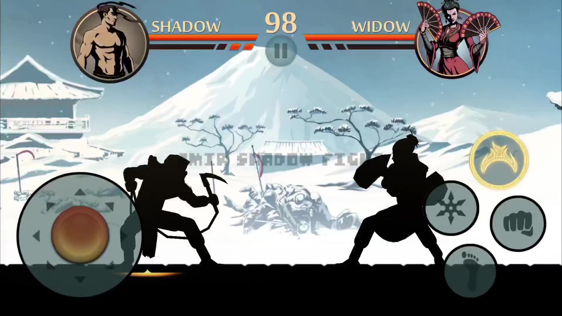 @Amir Shadow Fight
