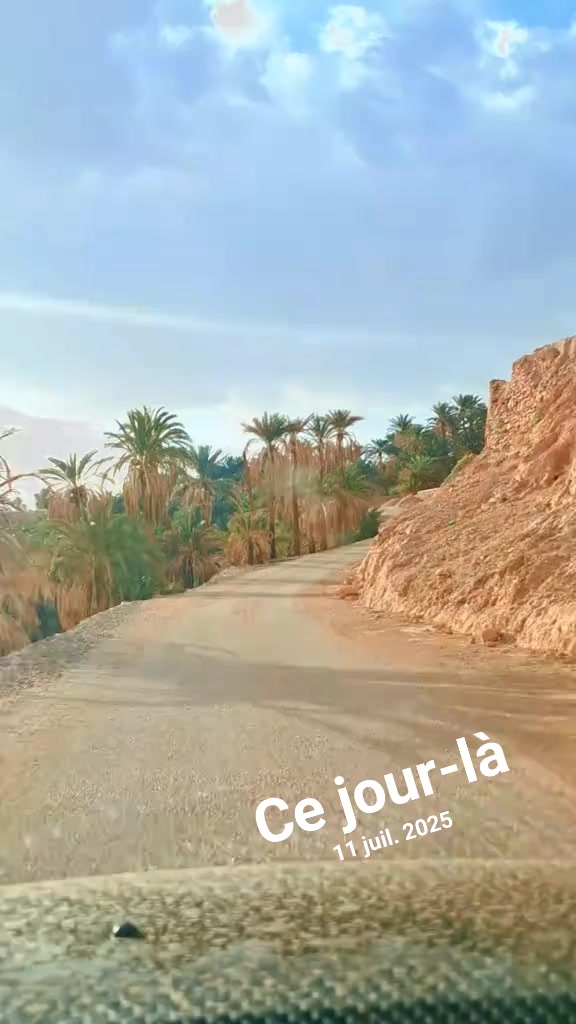 @moussamerzouki