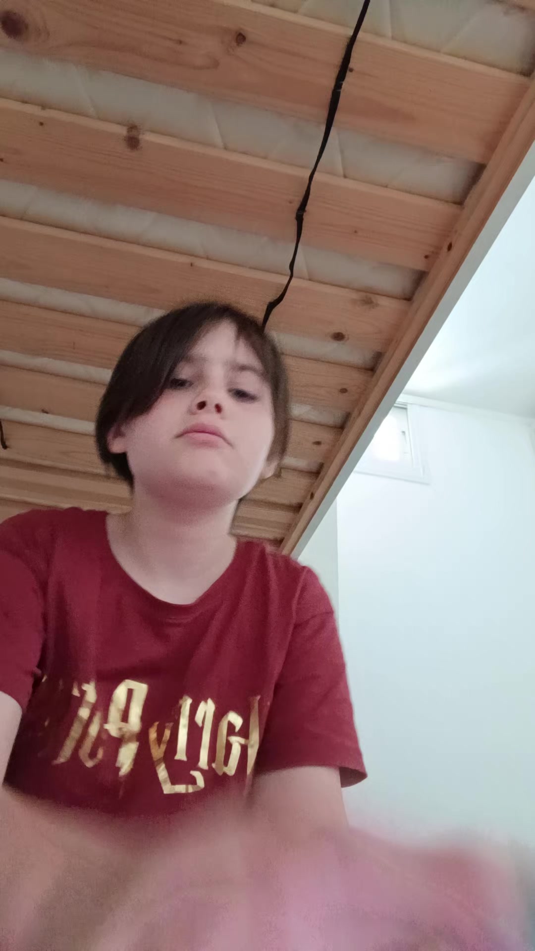 @arin monster hay