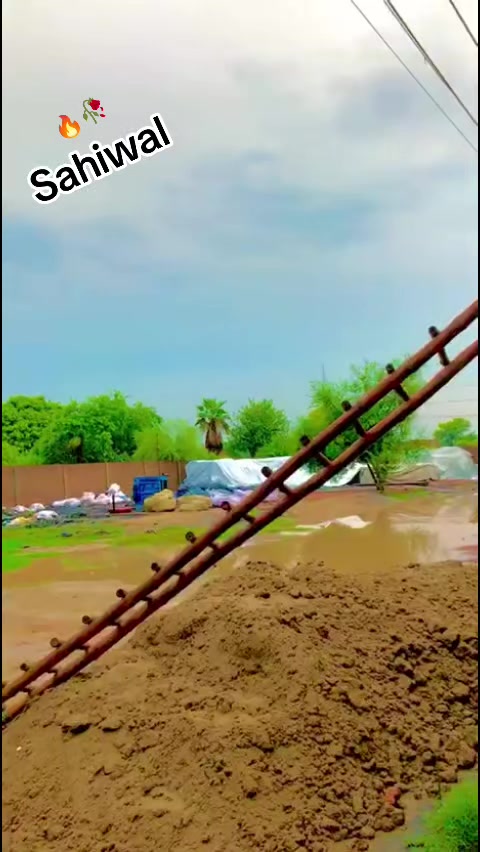 @بلال بھٹی ساہیوال والا804👑