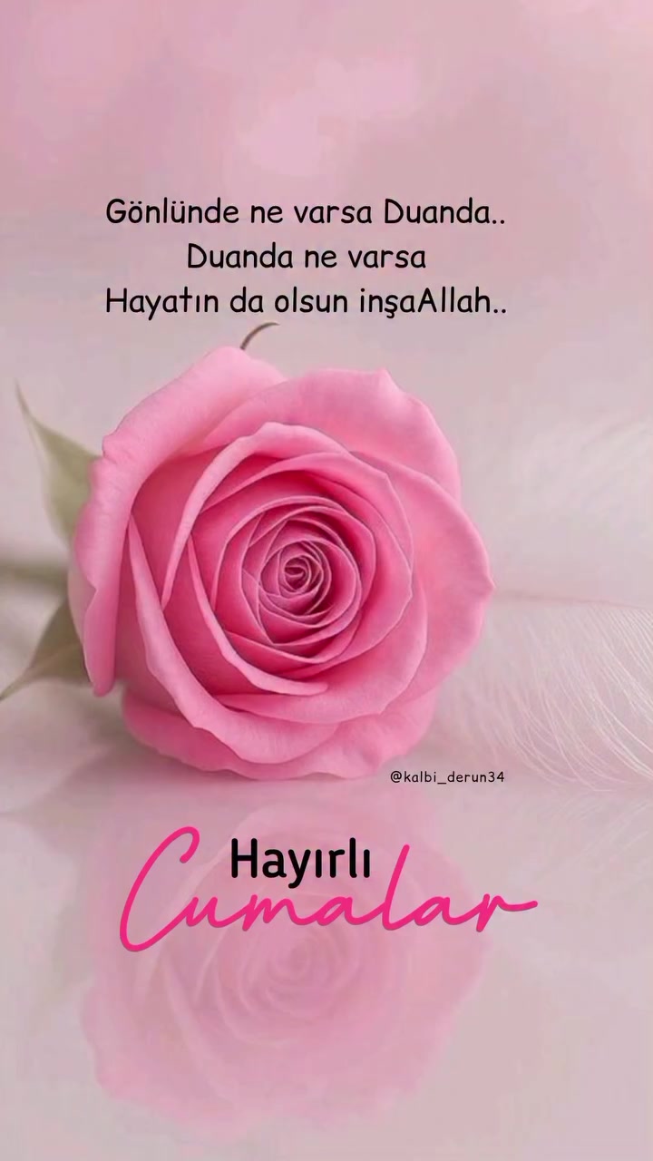 @muzaffertoprakcı