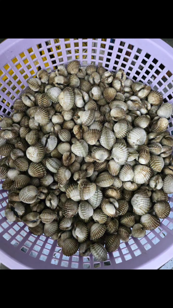 @ครัวโต้รุ่ง บางแสน