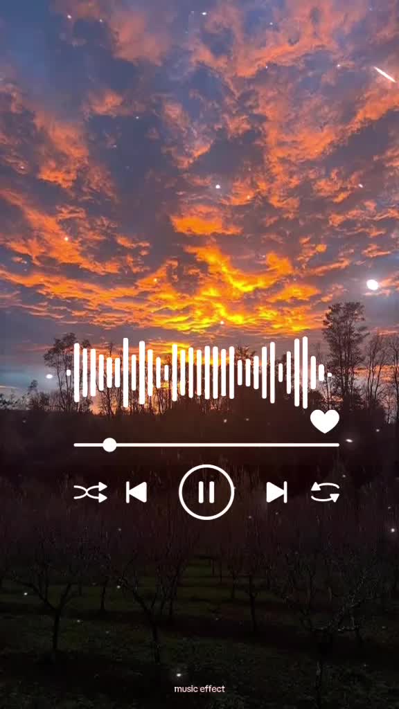 @Griselda Bogado