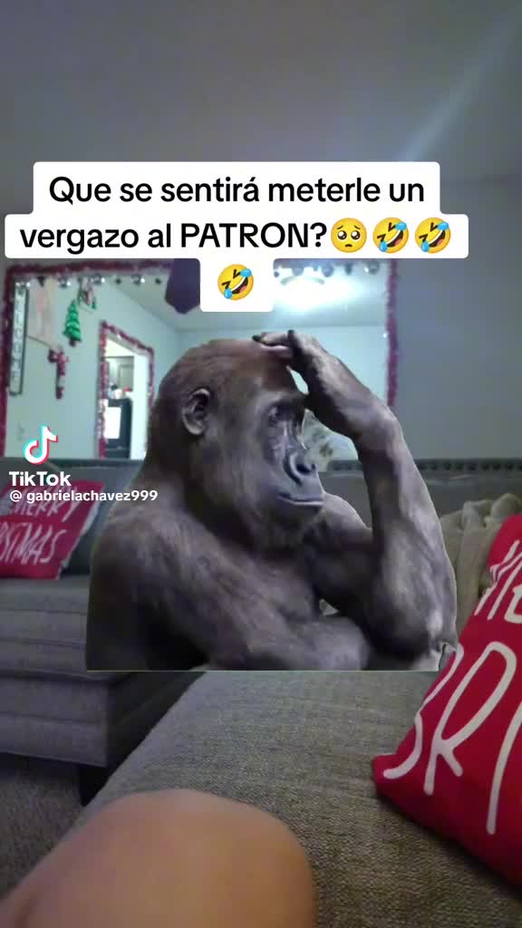 @Manuel Duarte268