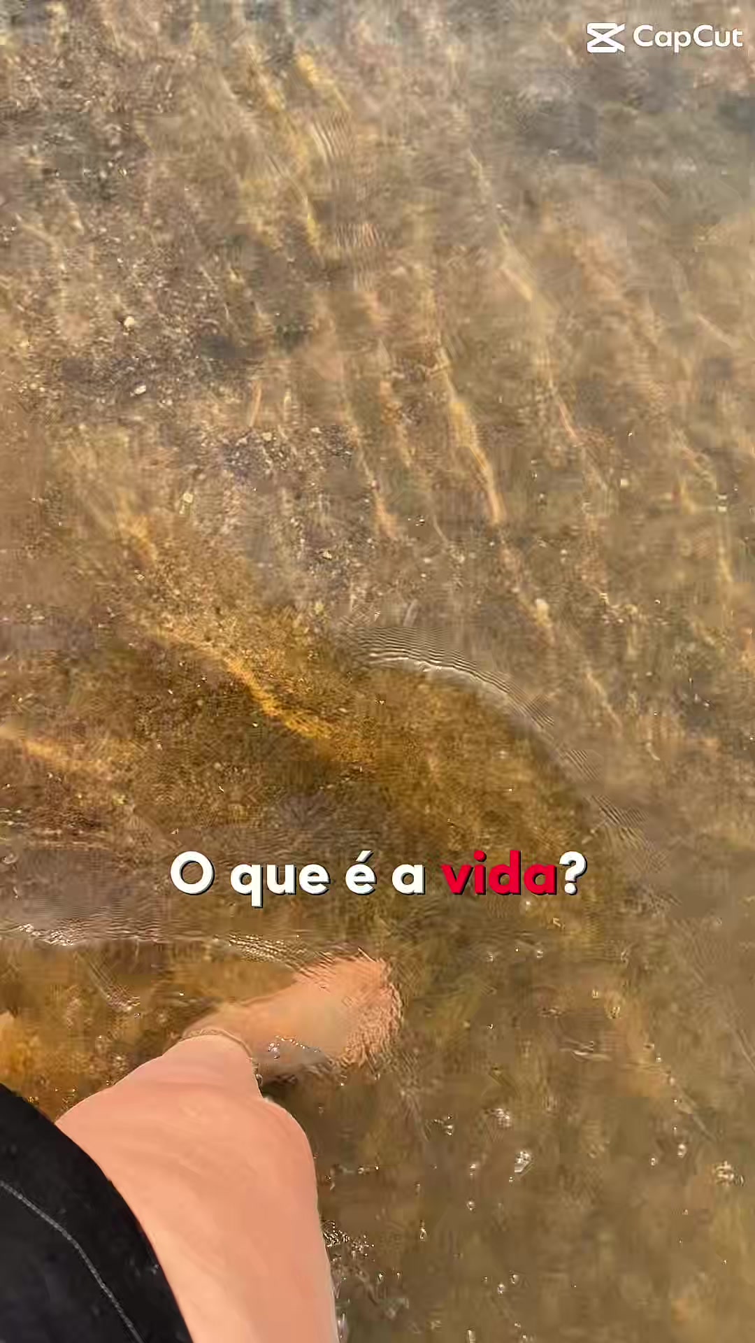 @Tain&aacute; Gotardo
