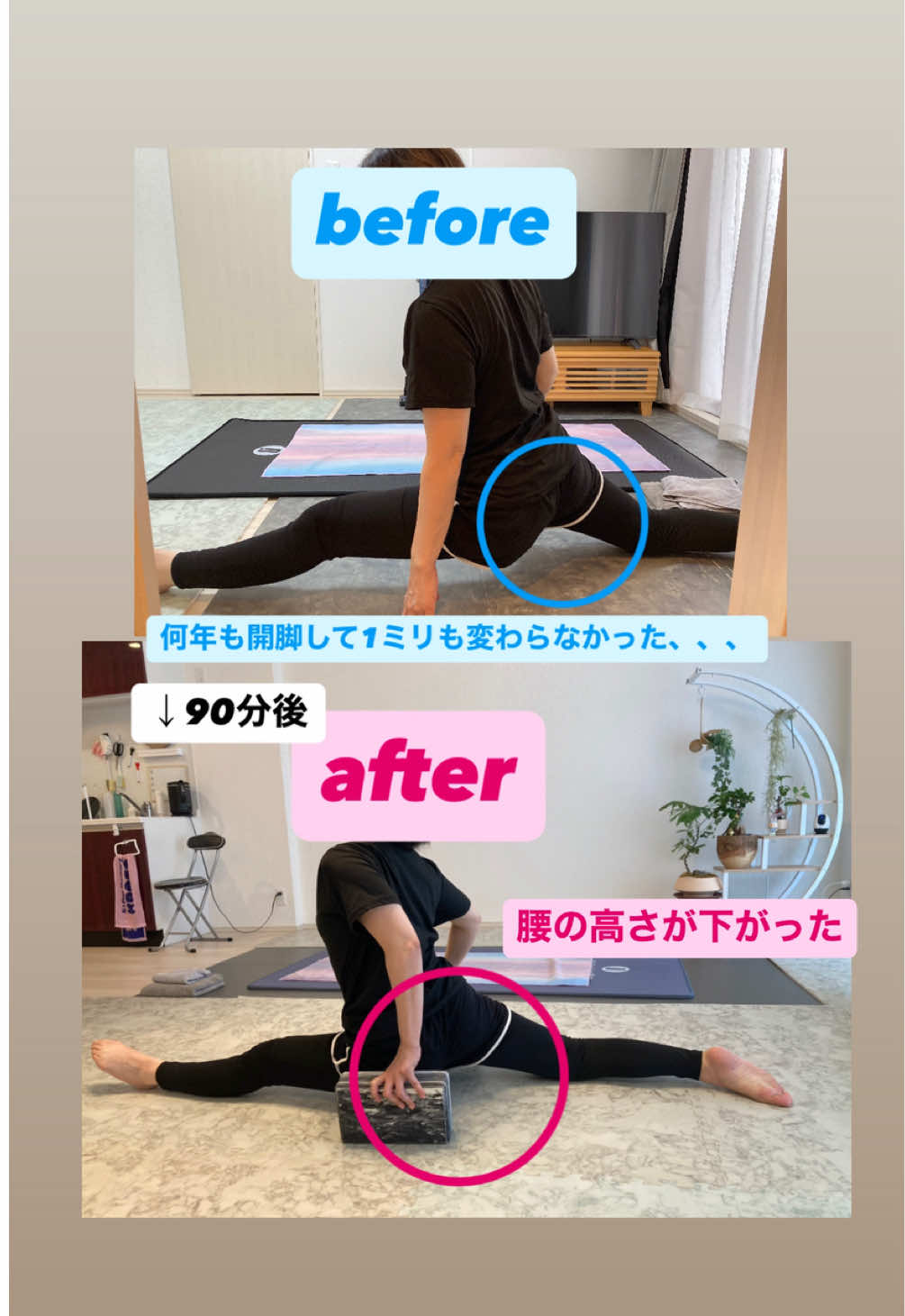@柔軟の先生