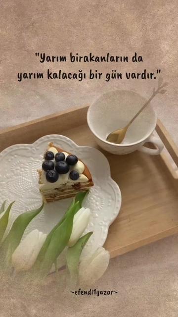 @Efendi1Yazar