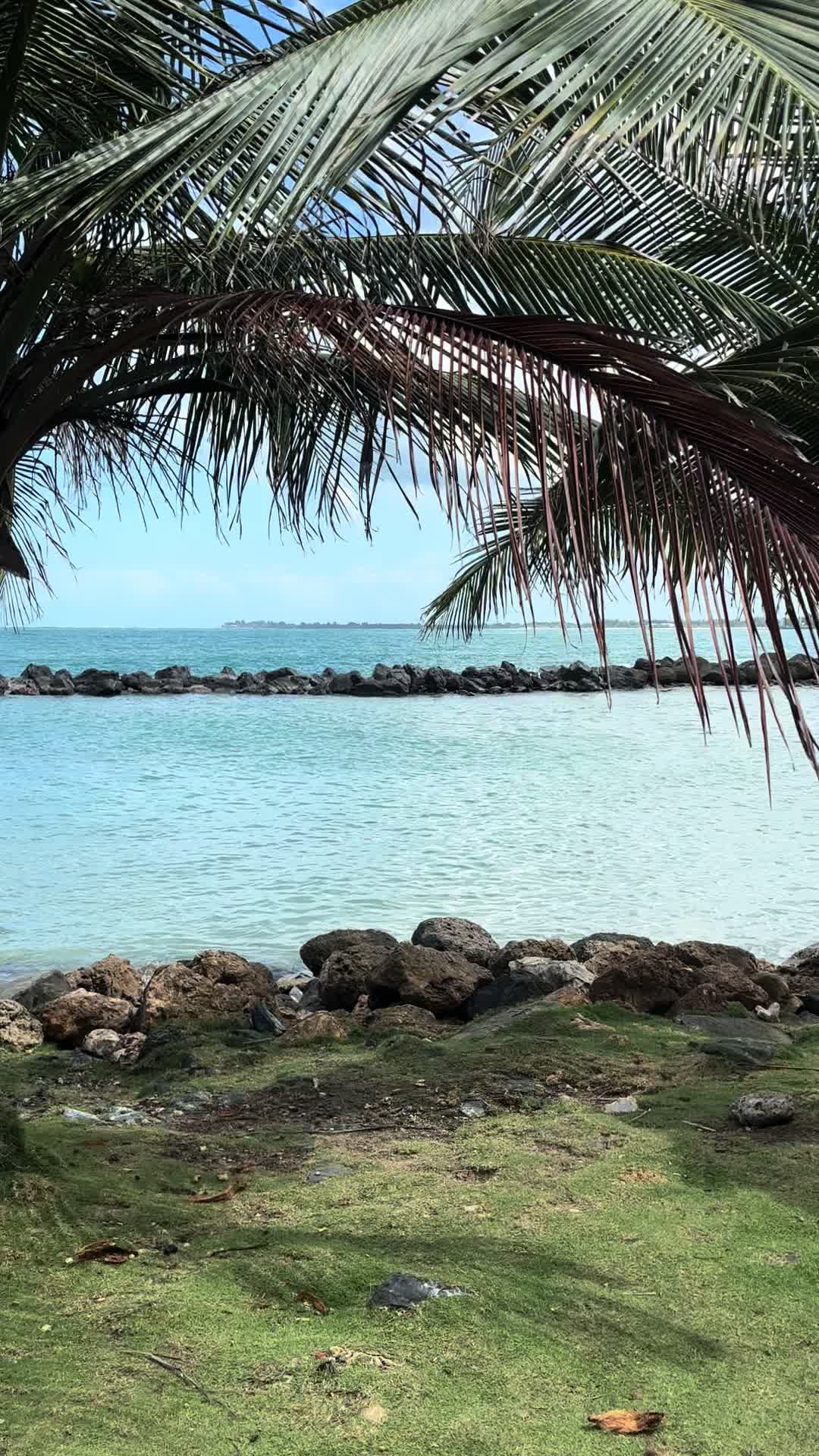 @Keys