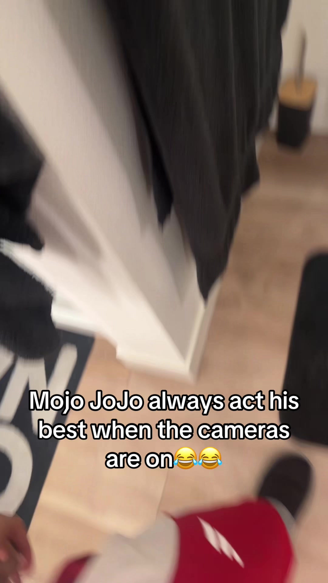@OJTV & Mojo Jojo🧡