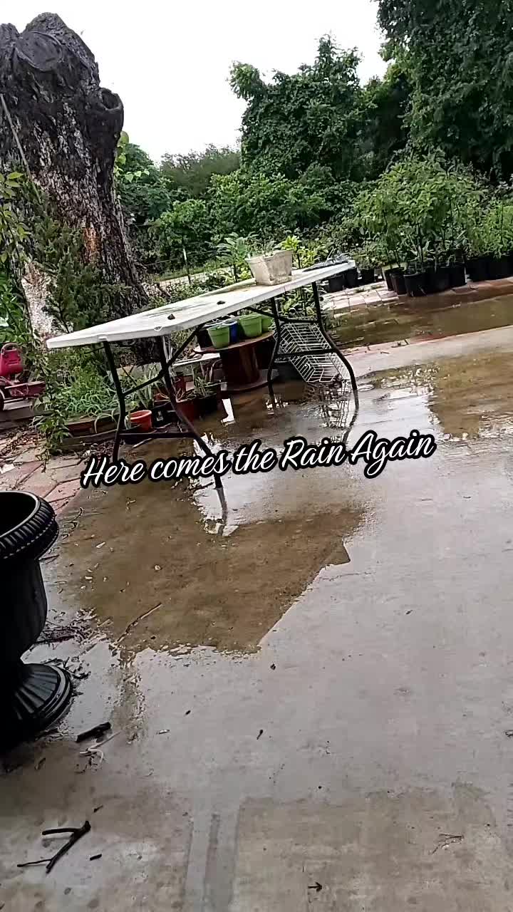 @Texas Mike