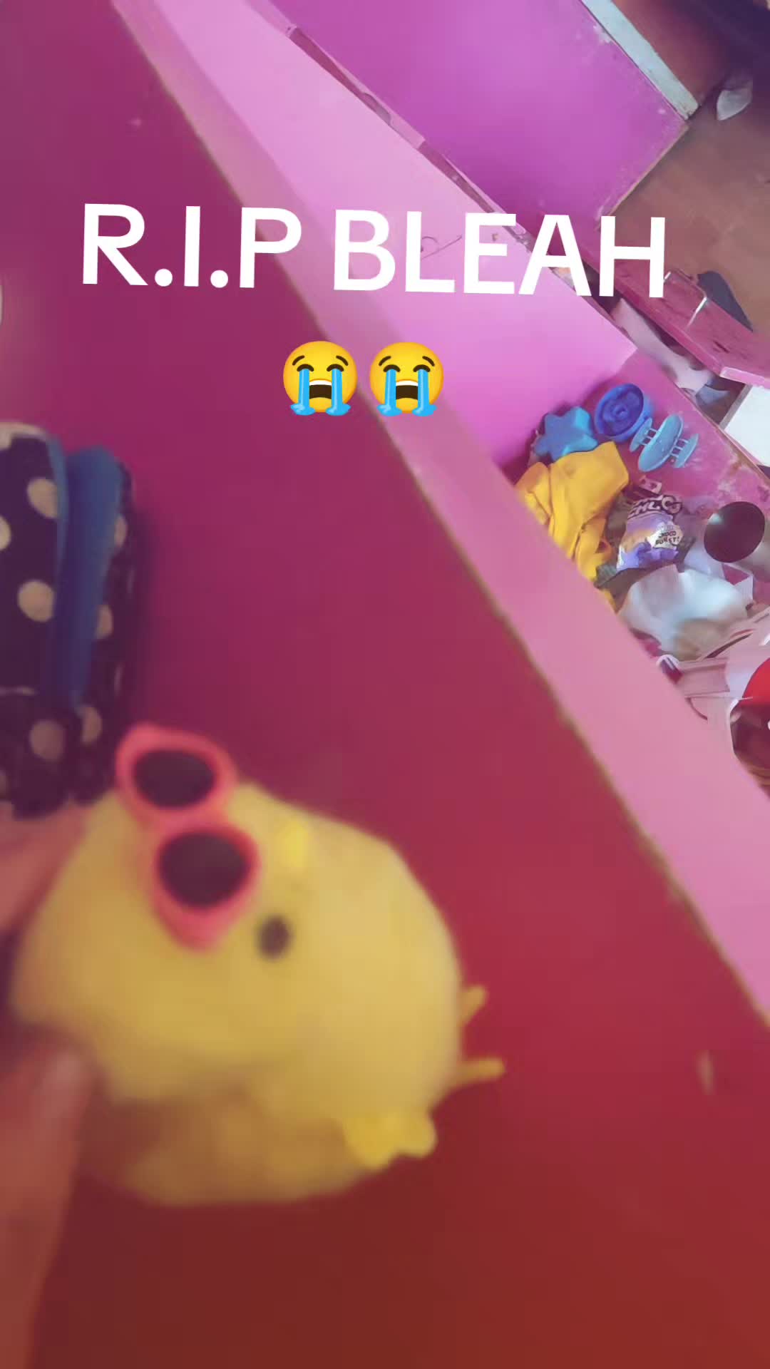 @REAL-CHICKENBLEAH