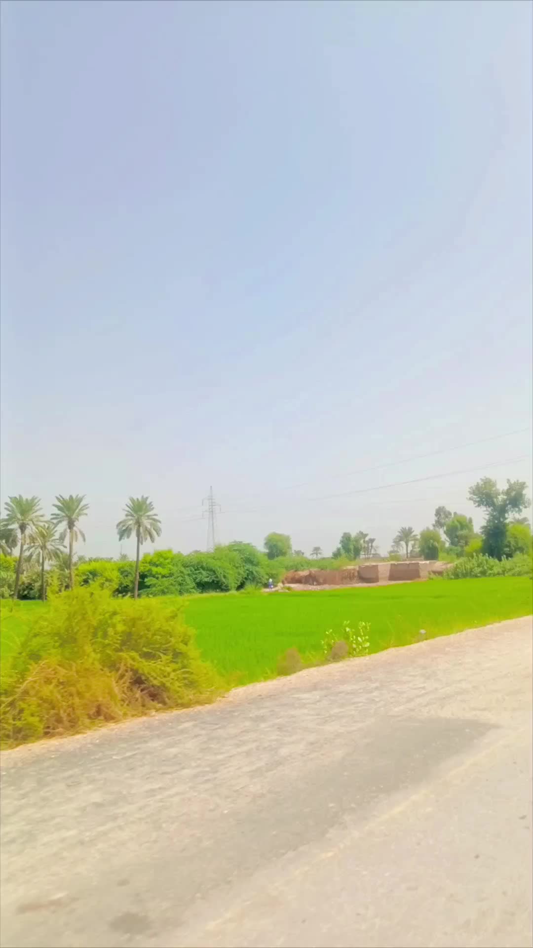 @Nawab Zadi🥰