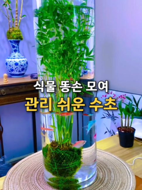 @👈 상상플러스