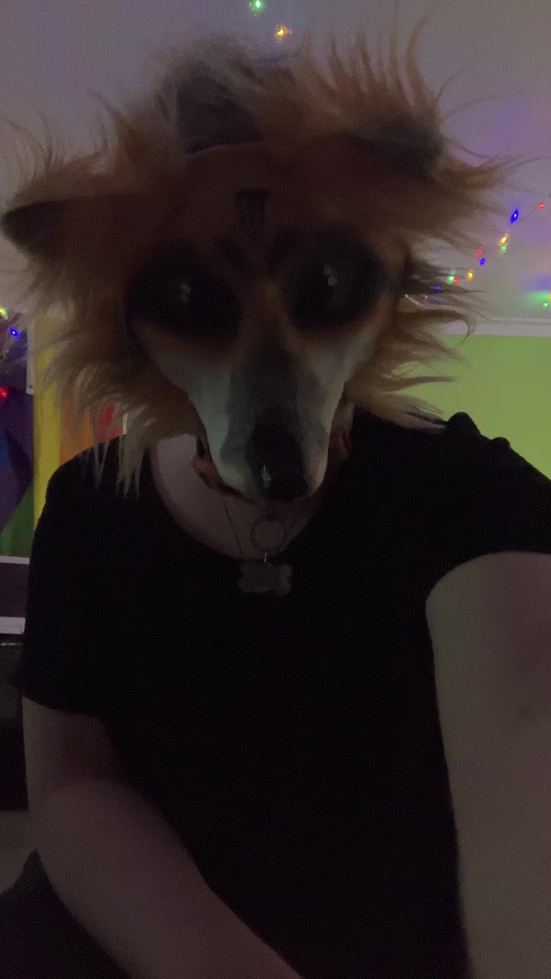 @Bryn 🦊