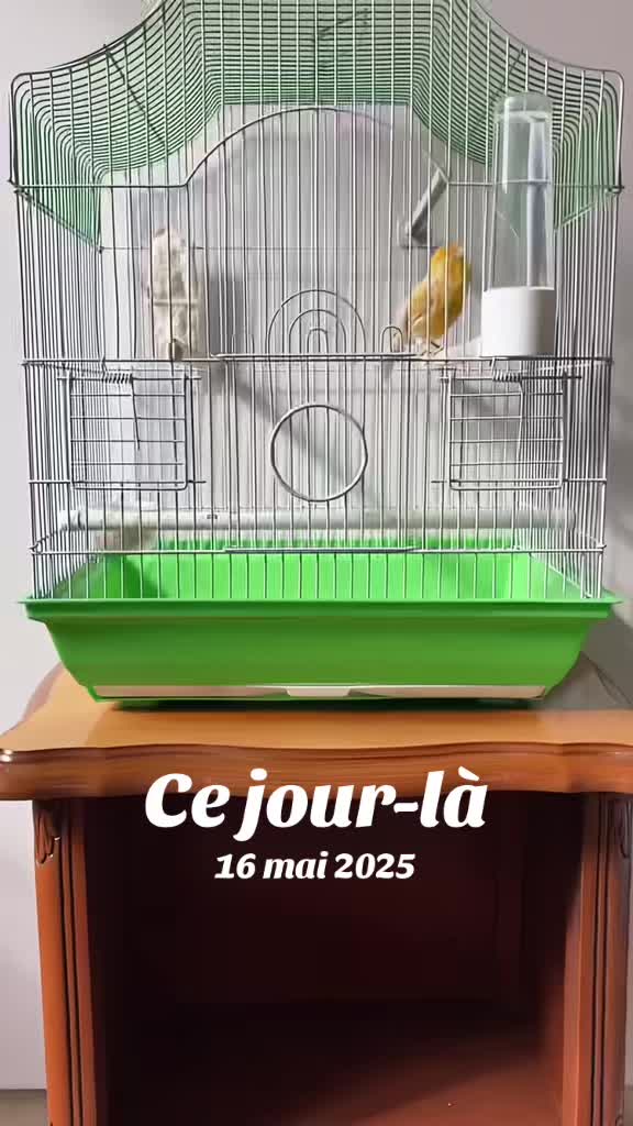 @Chaoukat