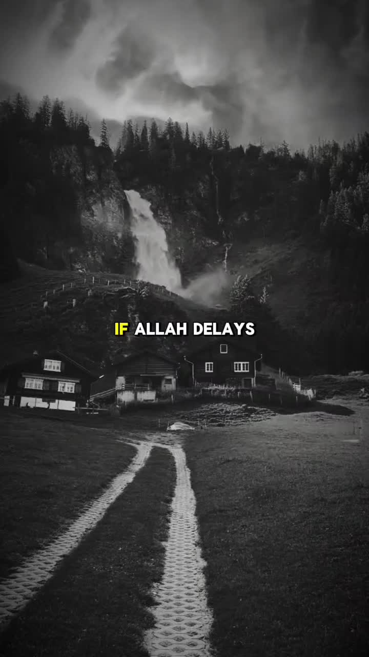 @Islamic Vibes