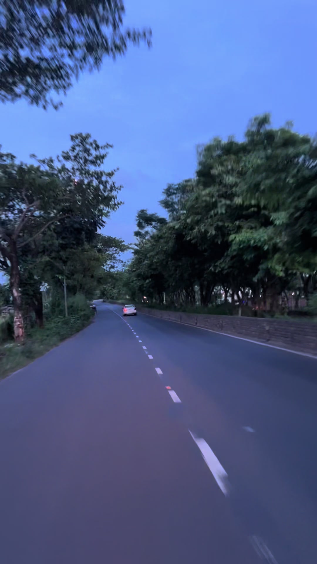 @মোহনা 🦋