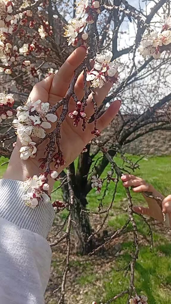 @irem ❤️M.Ş 04