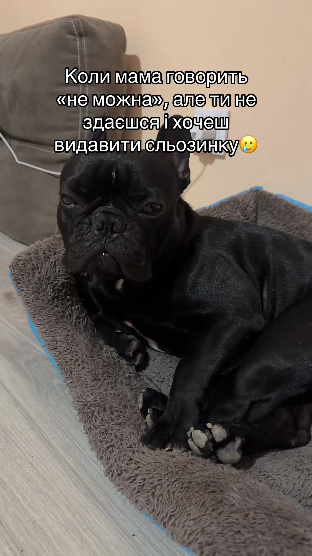 @꧁༺Brabus ༻꧂