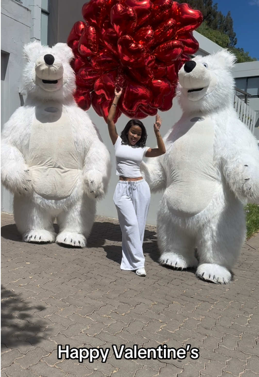 @dancingmascotssa