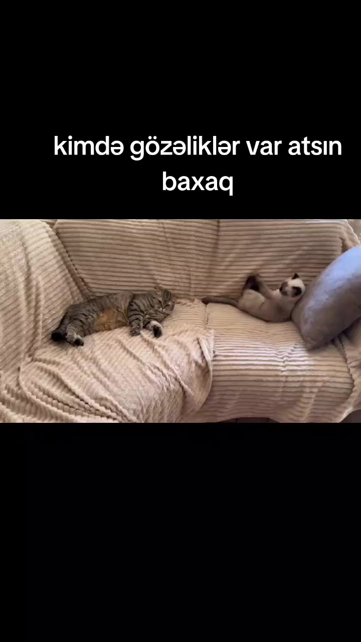 @Eli Ebelfezli