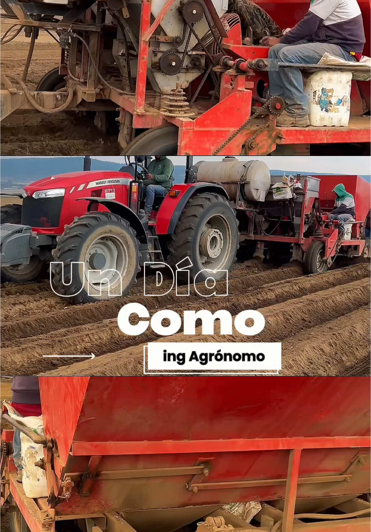 @agroboy_mx