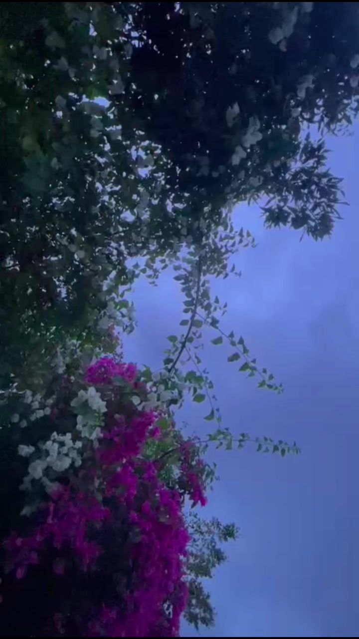 @🦋✨
