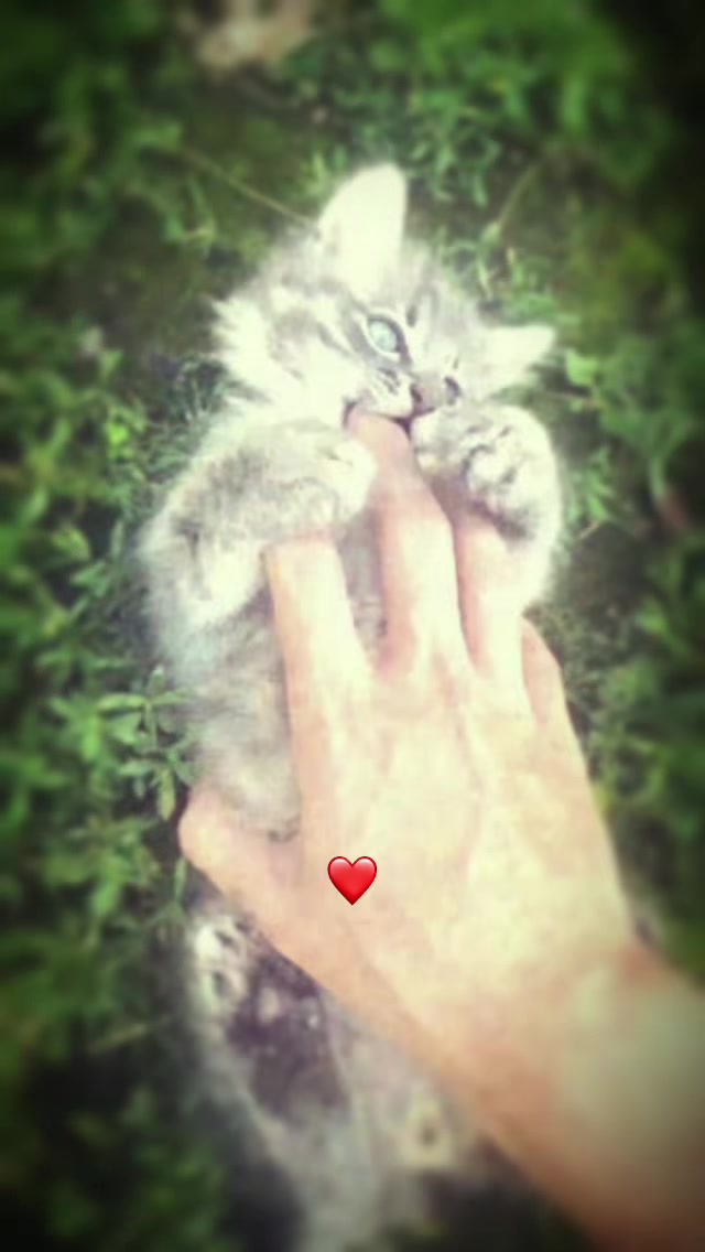 @рома анонимный