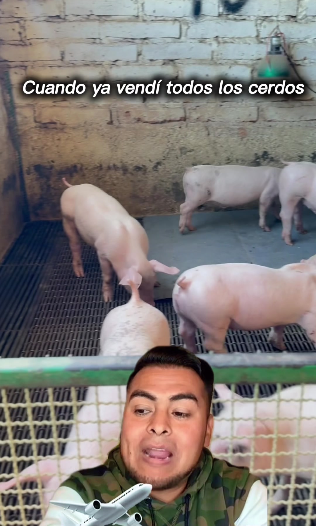@Alan García 🇲🇽🐷🐖🐽