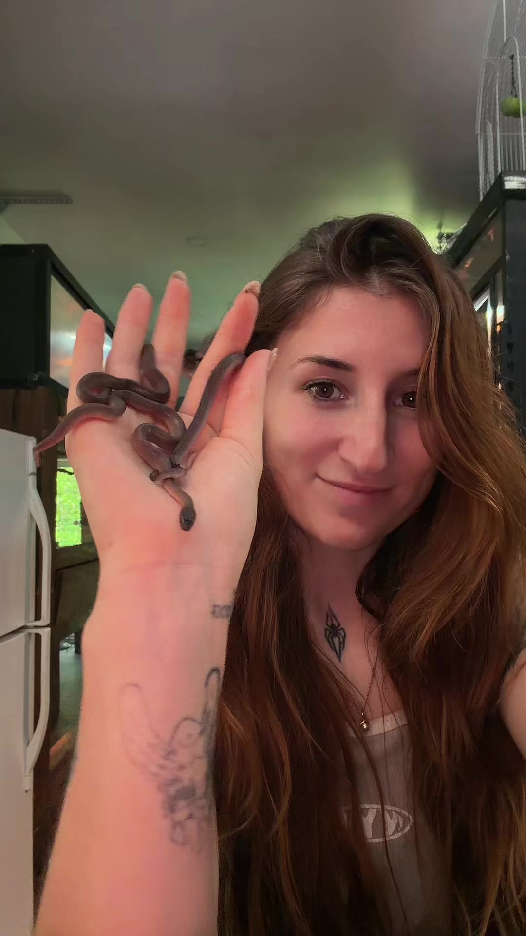 @Exotic Animals with Amanda