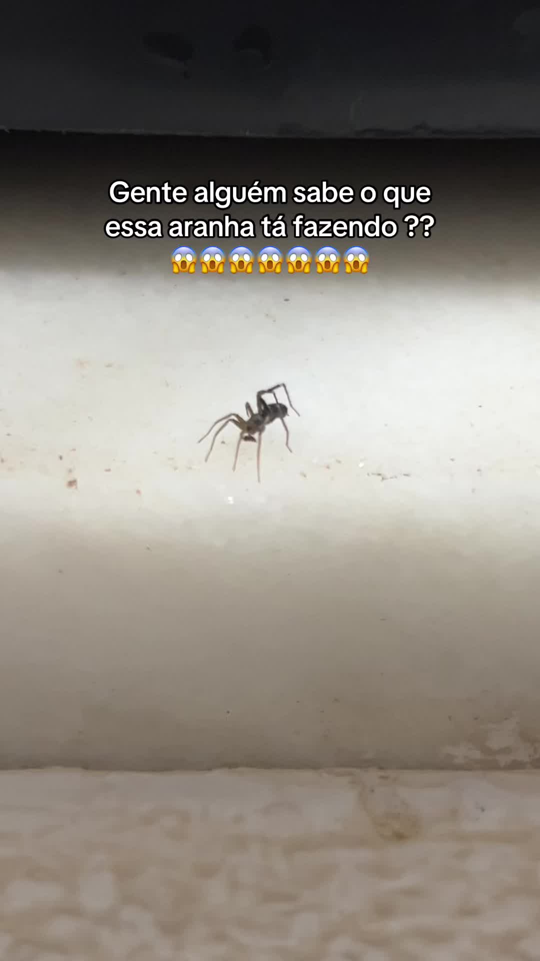 @Lugares Abandonados