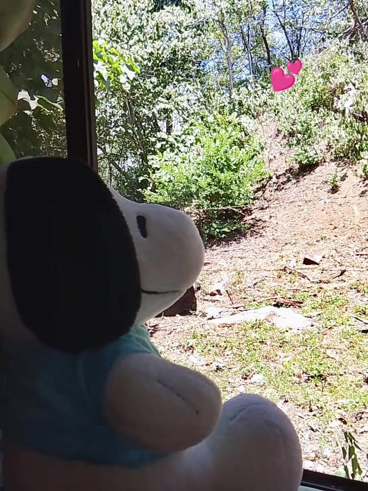 @⋆꙳⸜⸜🎀 ℰ𝓋𝒶 𝒮ℴ𝒻í𝒶 🎀⸝⸝꙳⋆