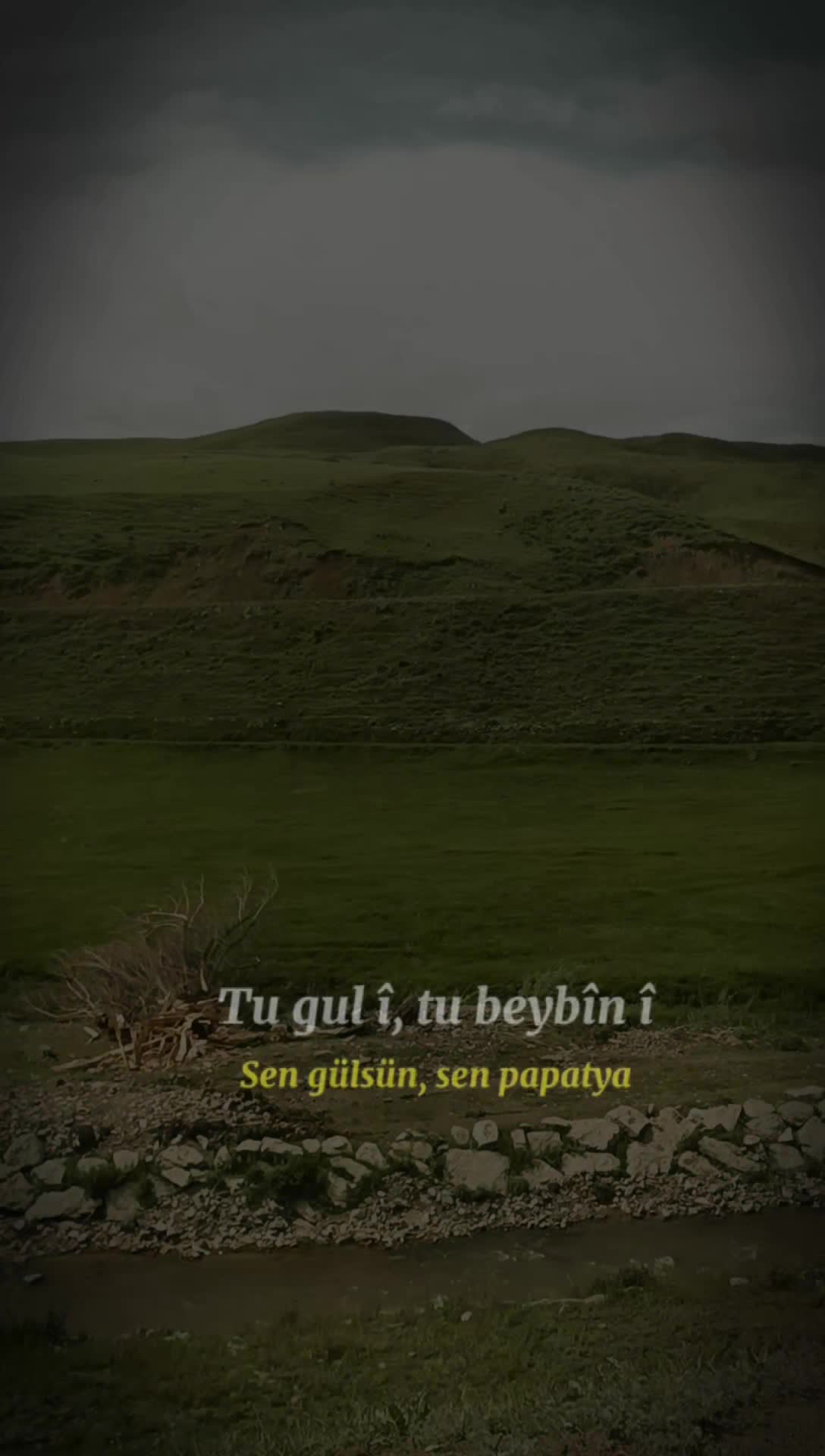 @Davut Babat 👑