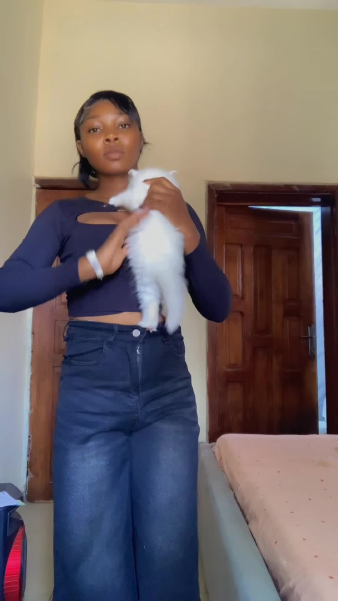@Dera&rsquo;s cats🐈🐈🐈&zwj;⬛