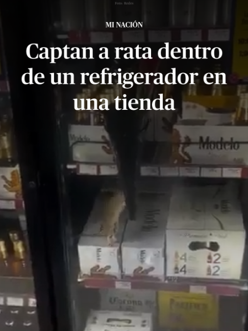 @DiariodeM&eacute;xico