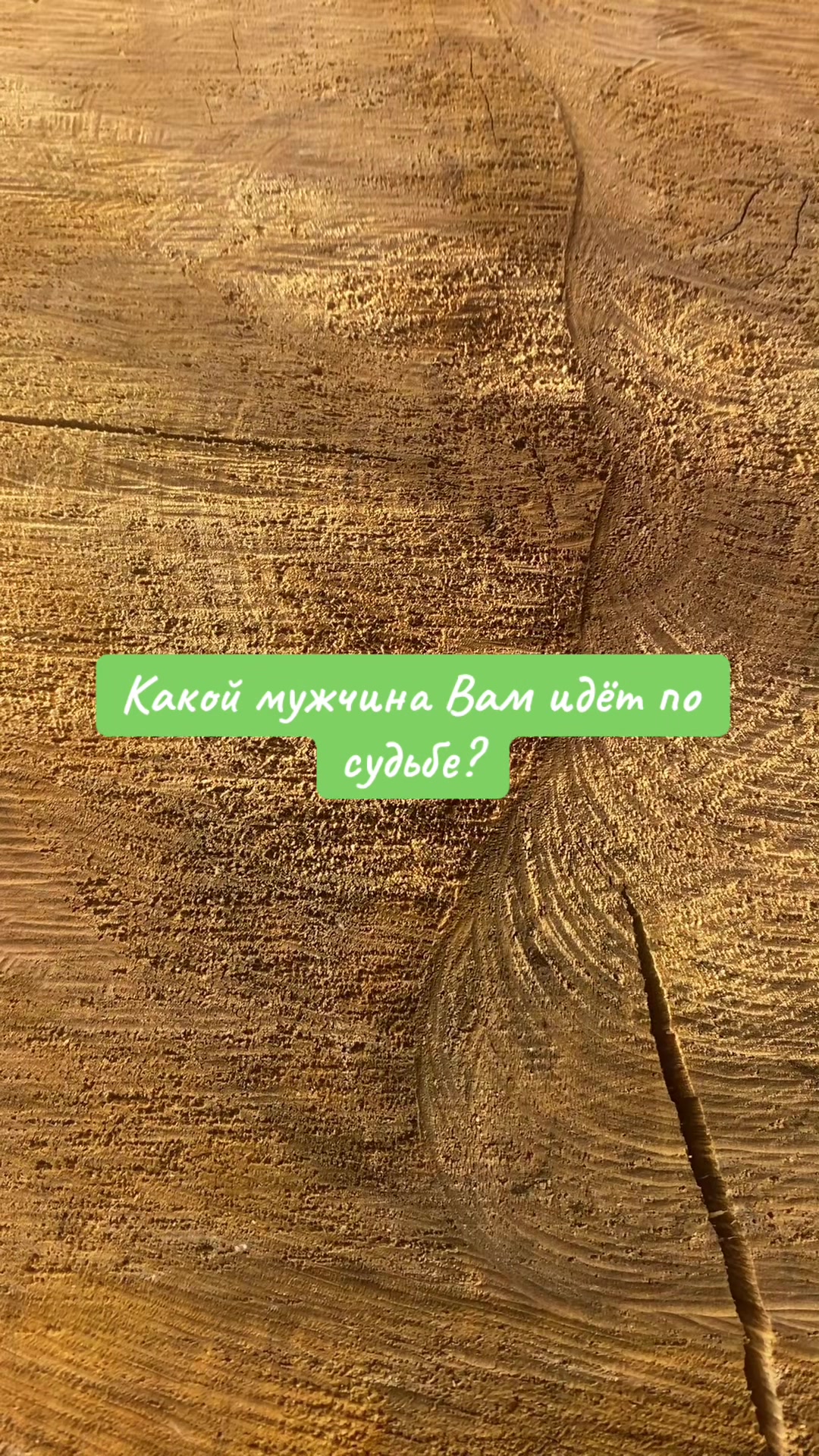 @eleonora_volyntseva