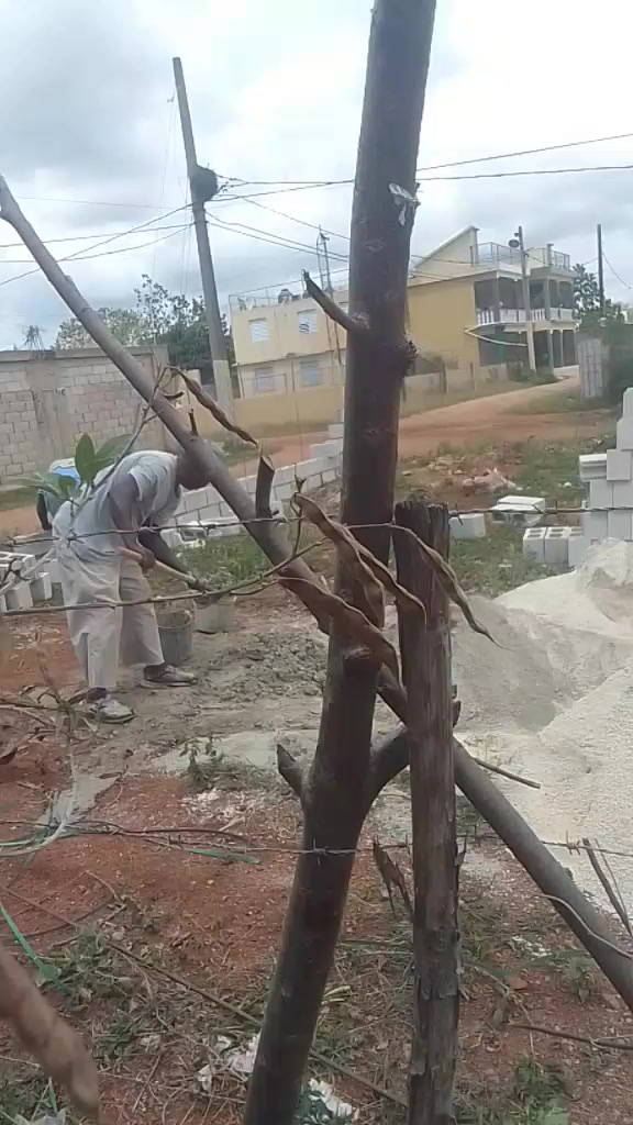 @nadeje