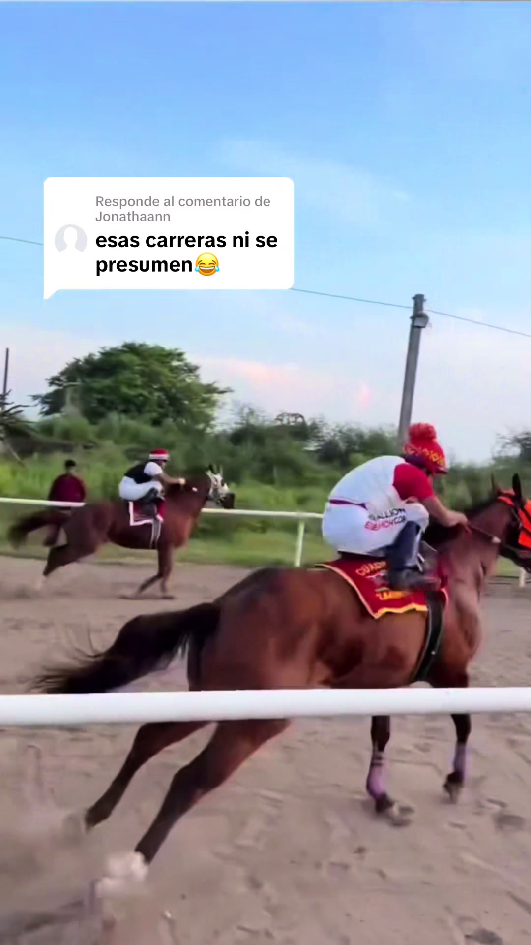 @Araceli García 🏇