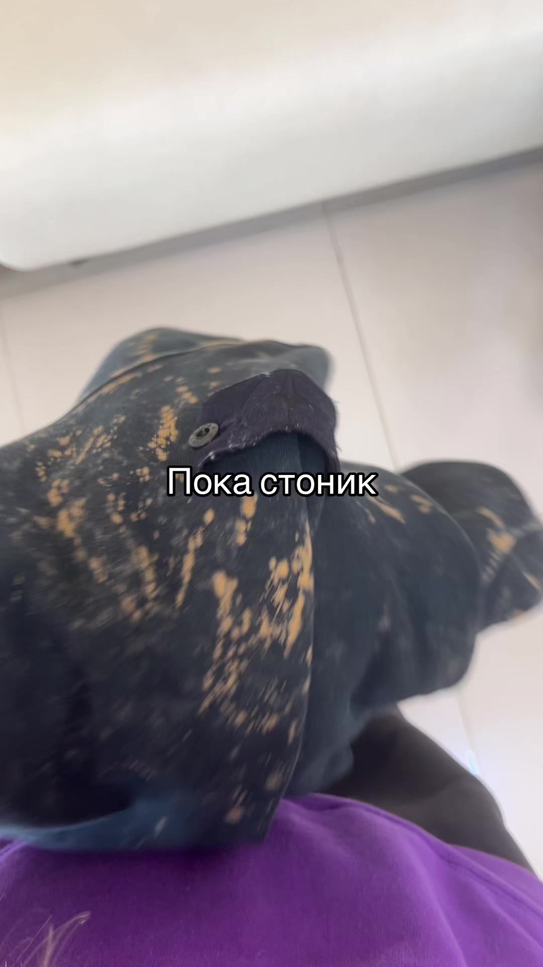 @эва грибова