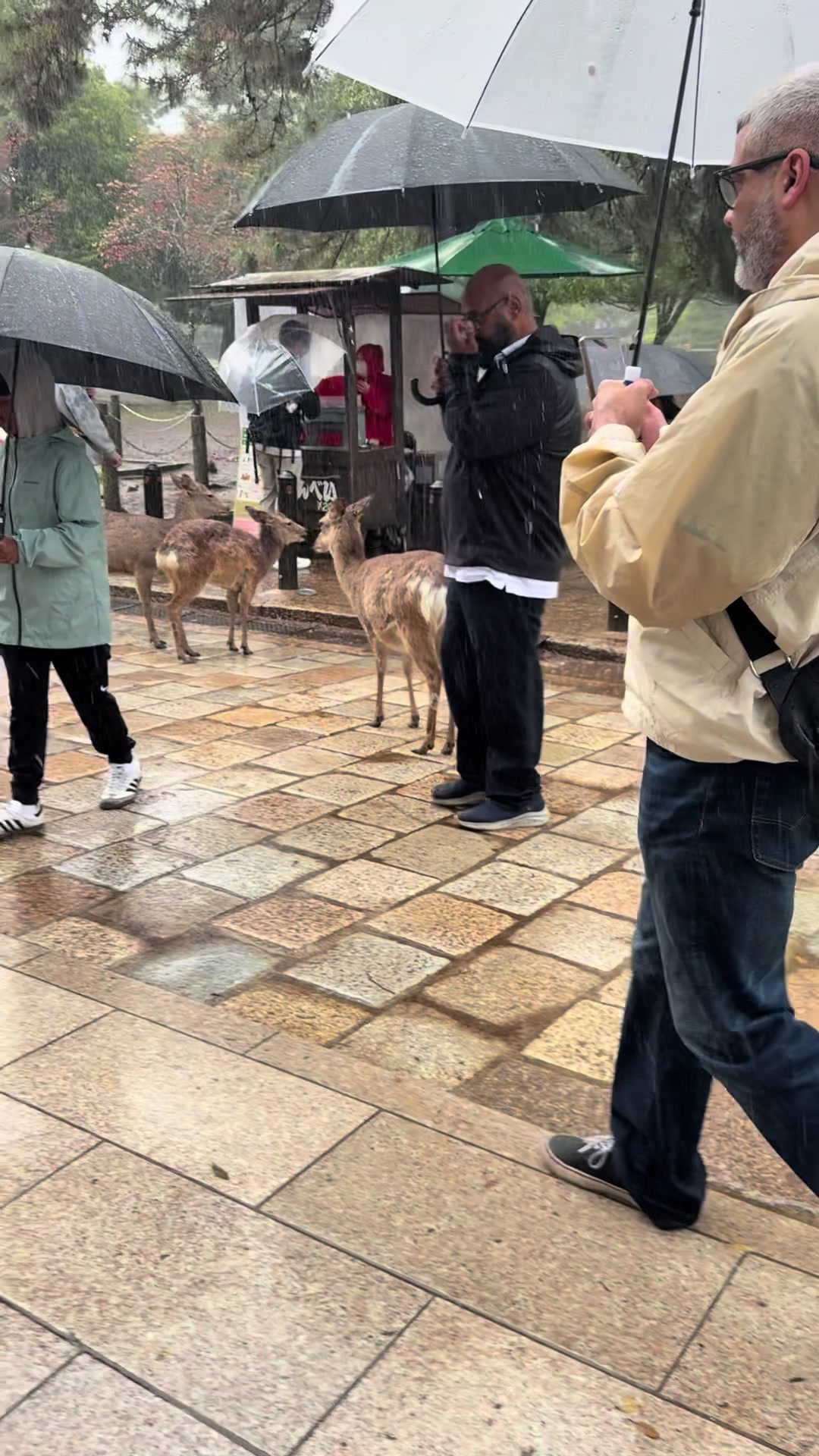 @Janash7