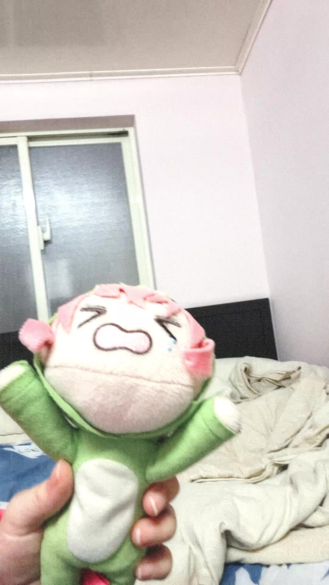 @My daughter's dog Bocchi✅️