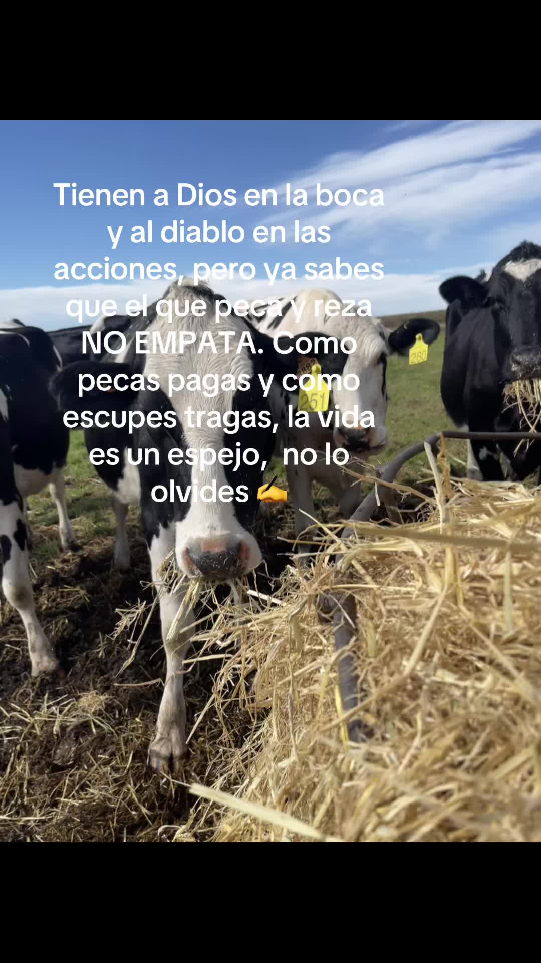 @Jessica Gimenez