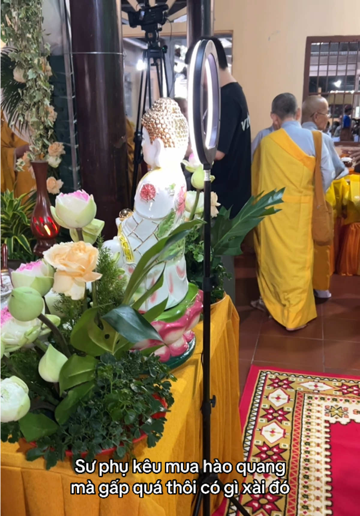 @Khánh hí quê Bạc Liêu