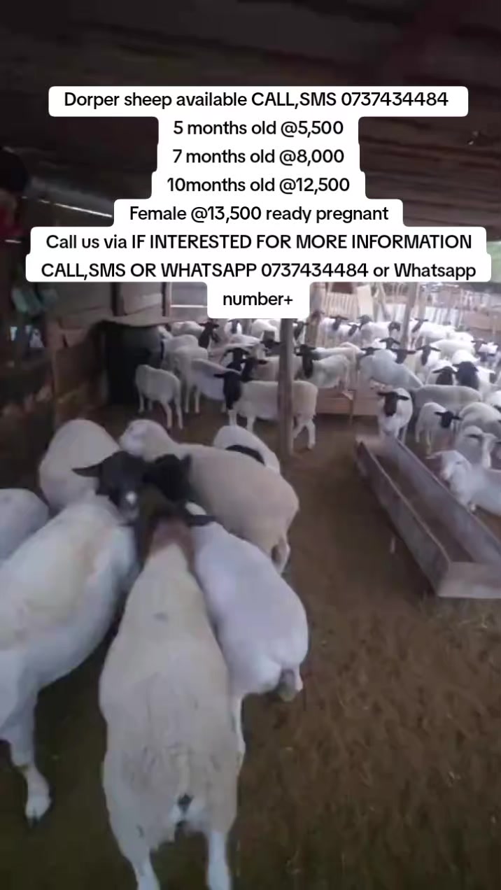 @KENYA FARM NAIVASH 0737434484