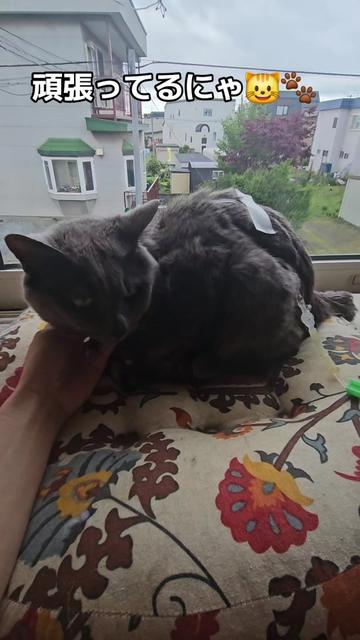 @ðžð§žæµ·è²Ž(ã¿ã)358ð§žðž