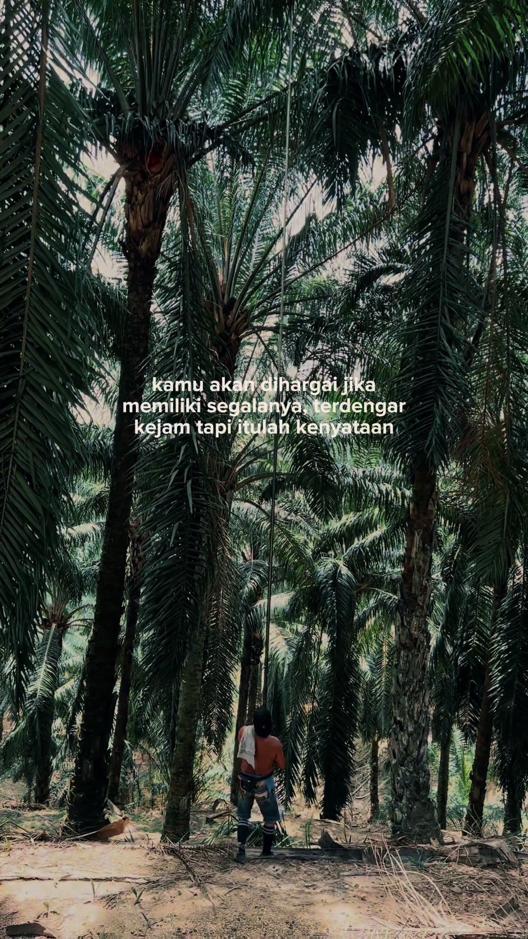 @Harry palm oil
