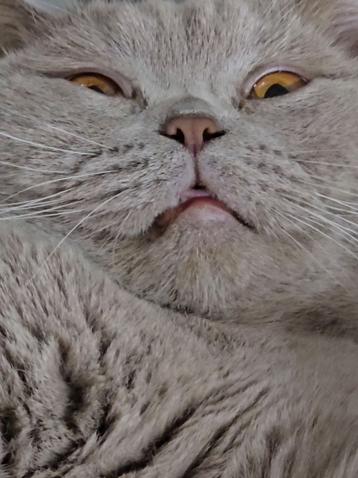 @Nonstop239