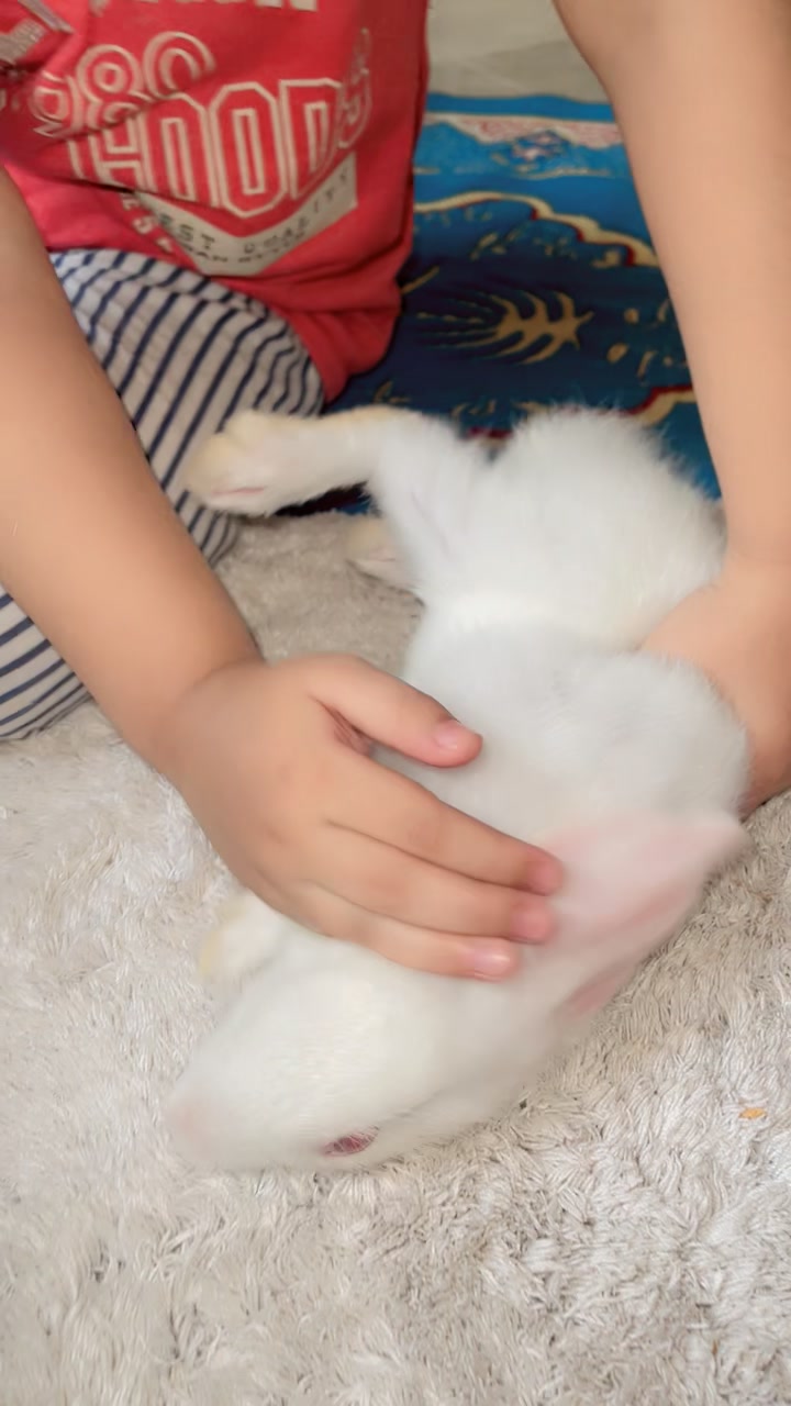 @𝔾𝕦𝕣𝕪𝕒 🧚♀️