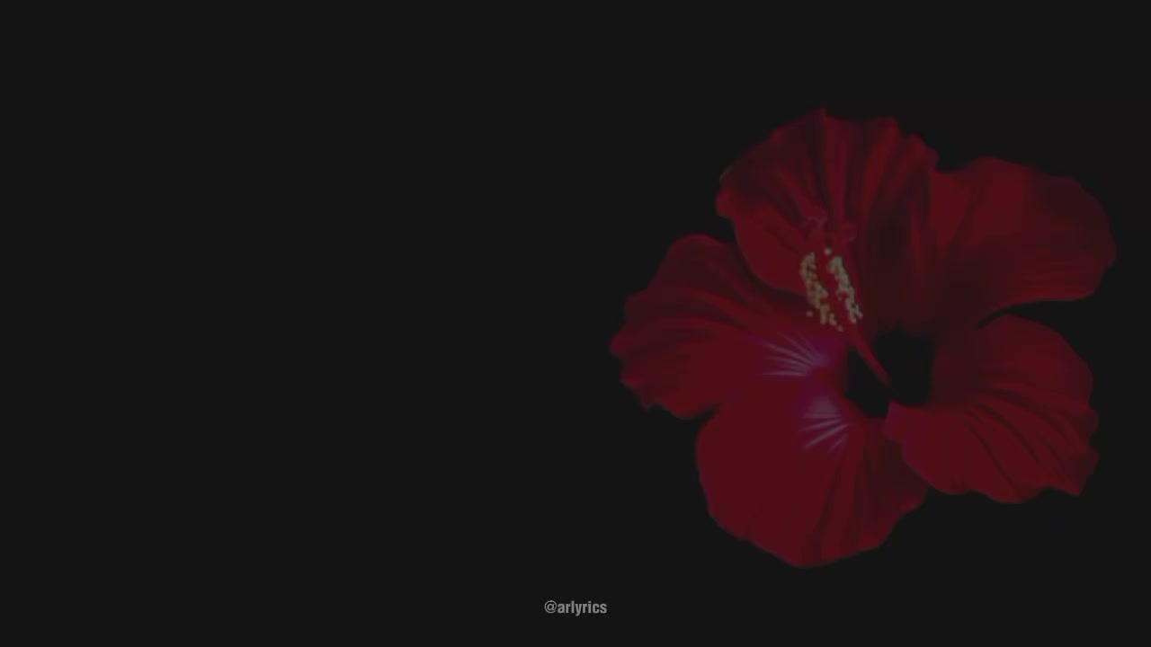 @AR_Lyrics