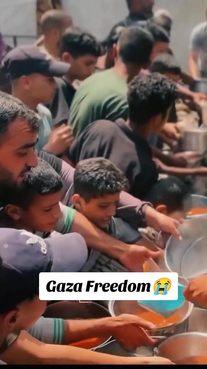 @free Palestinian